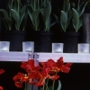 btg_poss_004